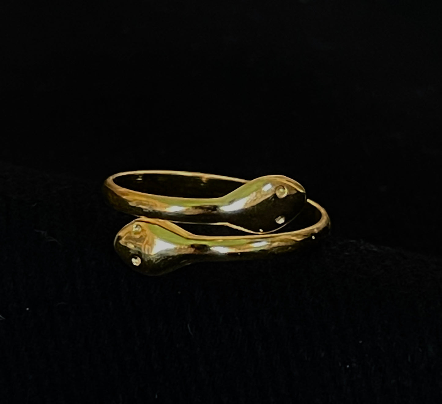 Double Snake Gold Ring